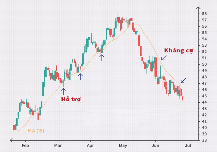 đường hỗ trợ và kháng cự động