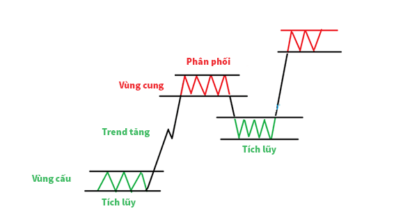 cấu trúc thị trường và vùng cung cầu