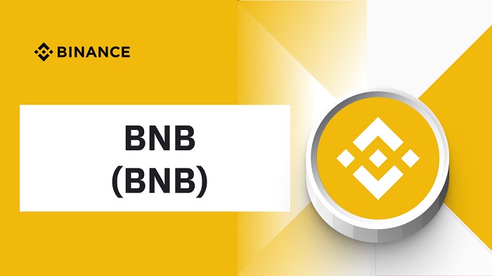 Binance Coin (BNB)