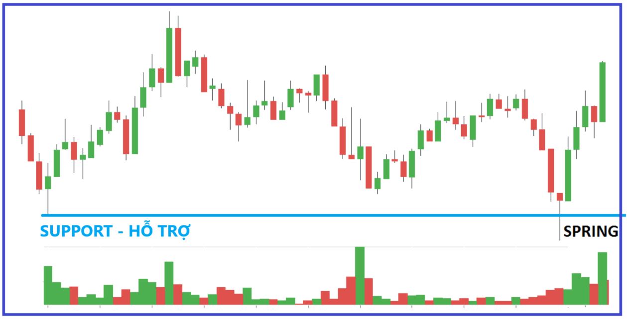 Spring là một mẫu nến được hình thành ở một vùng hỗ trợ