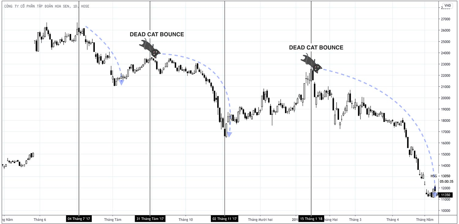 Cổ phiếu HSG và Dead Cat Bounce