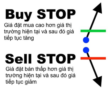 Lệnh Stop (Lệnh dừng)