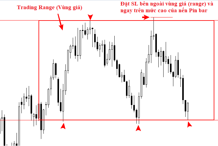 vị trí tốt nhất là đặt SL chỉ trên đỉnh của Pin Bar
