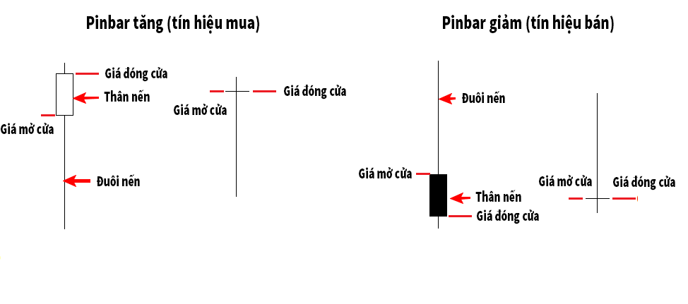 pin bar cổ điển