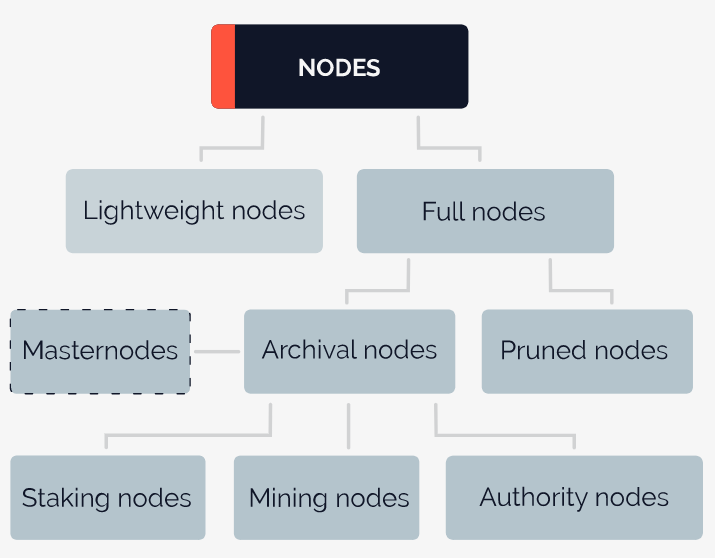 Node được phân loại như thế nào? 