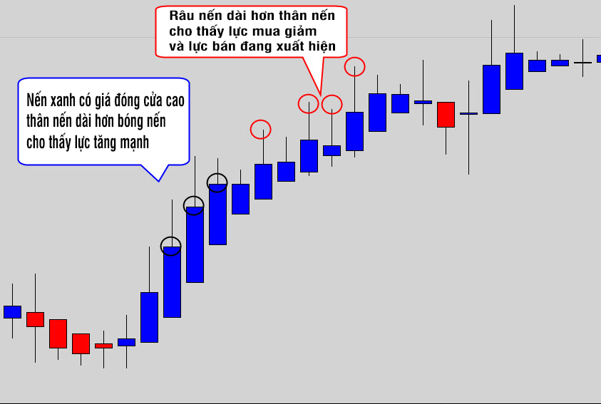 Theo dõi sức mạnh xu hướng tăng dựa vào bóng nến