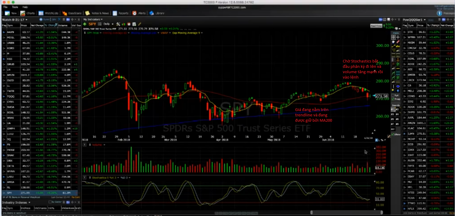 Swing trader thành công