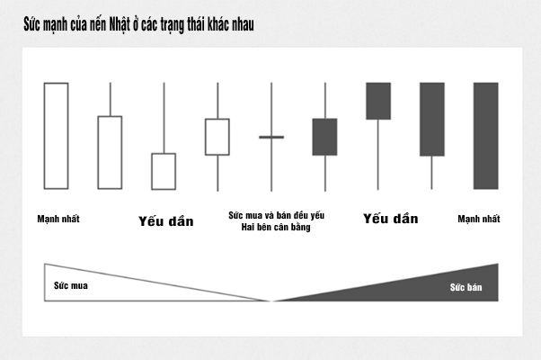 Sức mạnh của nến Nhật