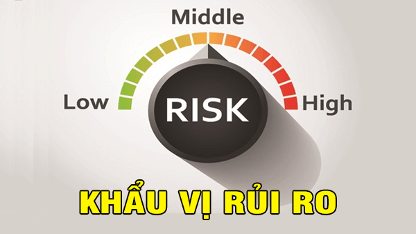 khẩu vị rủi ro