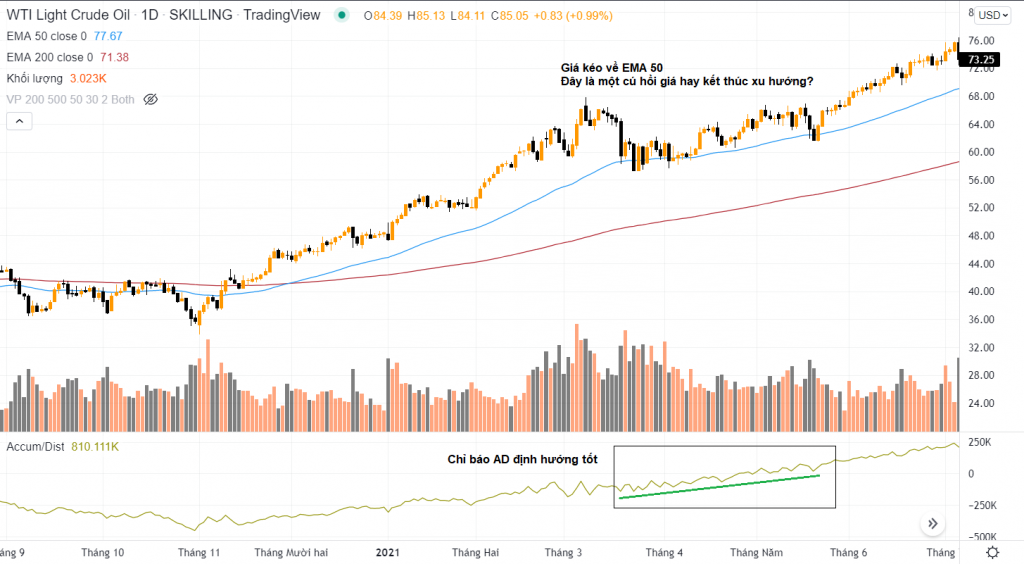 Dựa vào chỉ báo accumlation distribution (A/D) giúp xác định xu hướng trong tương lai