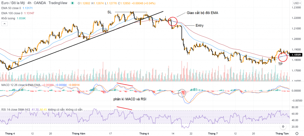 kết hợp MACD RSI