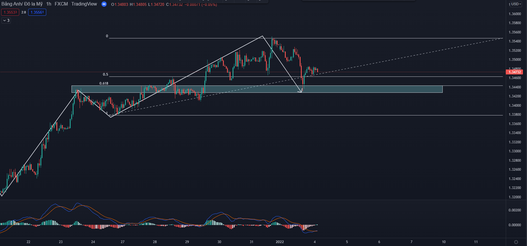 fibonacci & MACD