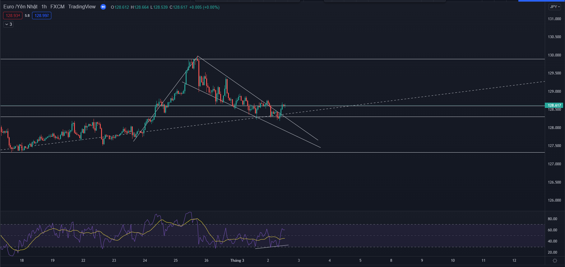 fibonacci & RSI