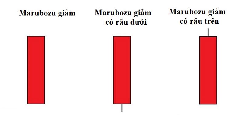 Các mẫu hình nến Marubozu giảm