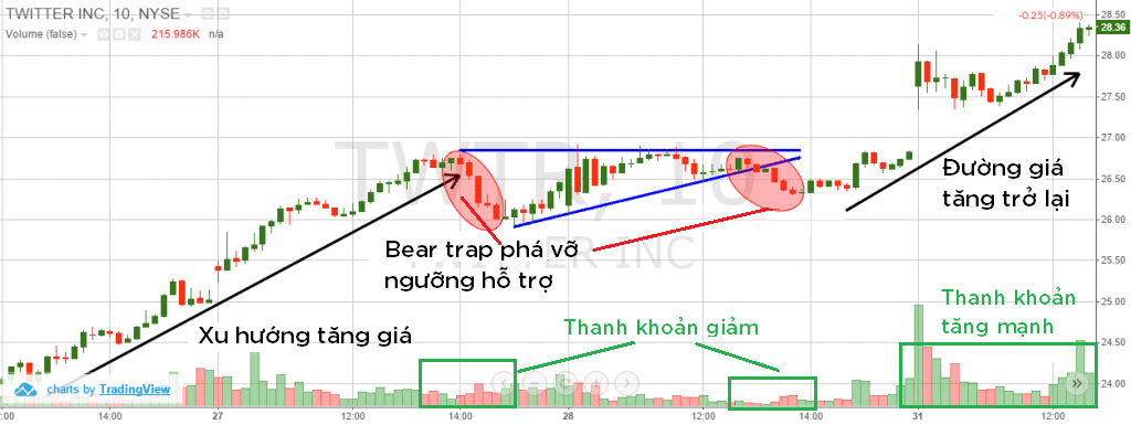 Các giai đoạn của Bear Trap 