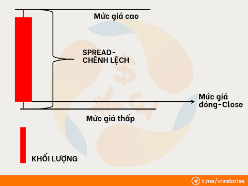 Các thành phần của phương pháp VSA - Spread 