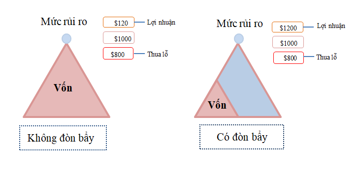 Các sàn giao dịch forex áp dụng tỷ lệ đòn bẩy khác nhau