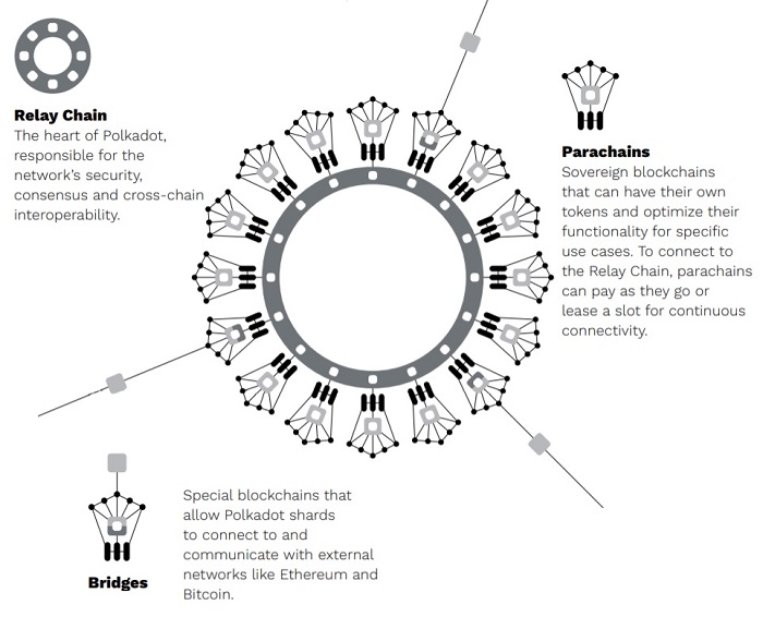Cấu trúc của Polkadot
