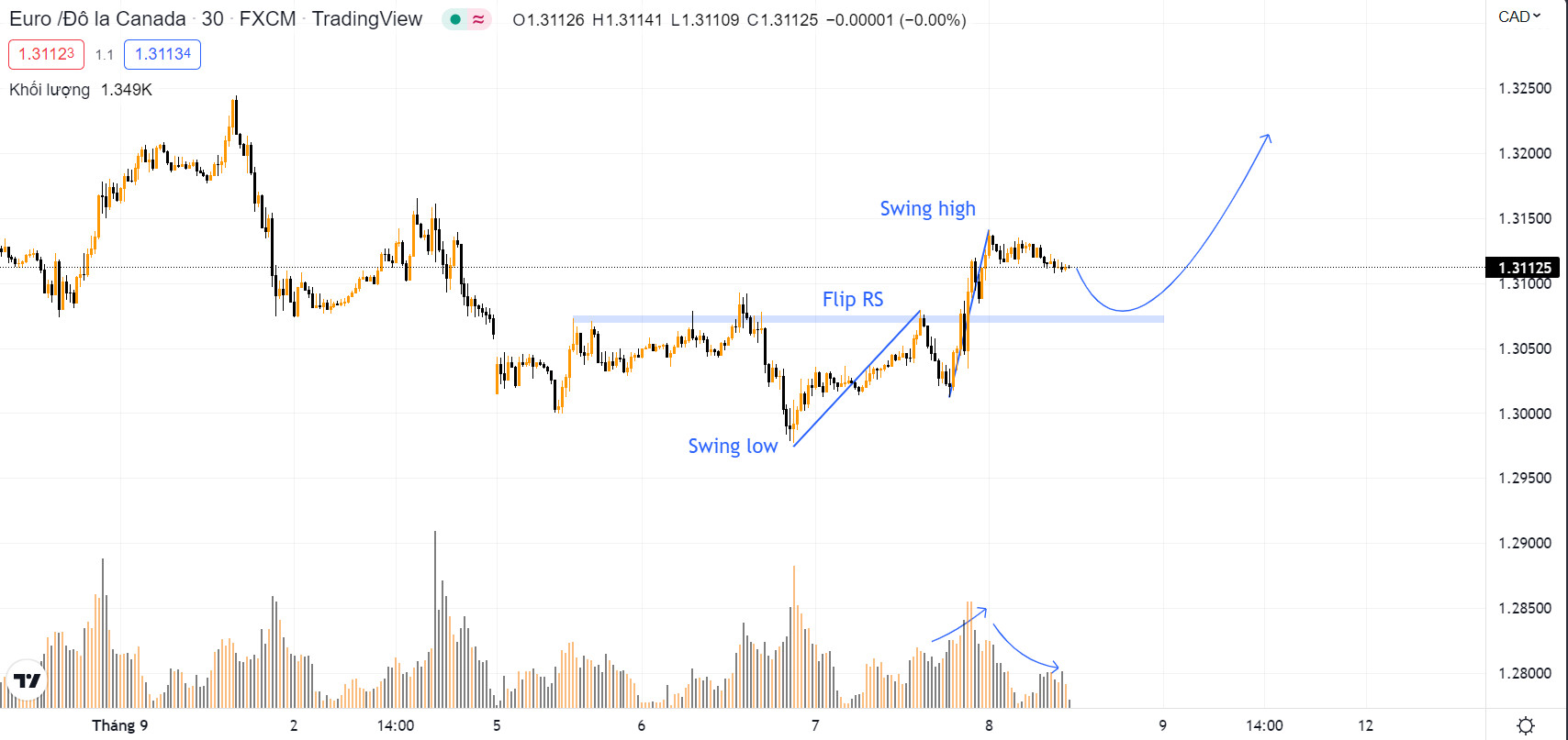 timing zone