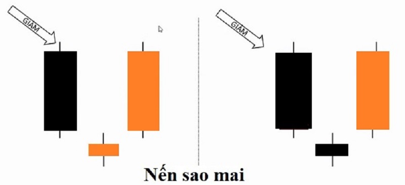 Cấu tạo của nến sao mai