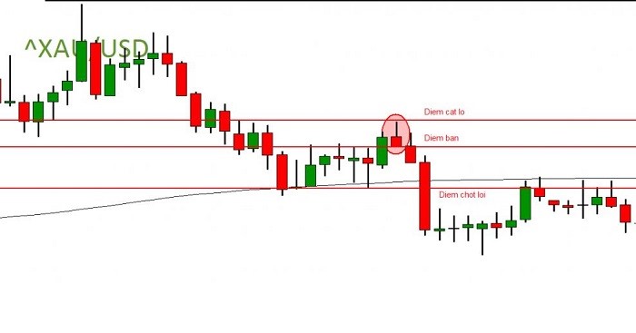 Giao dịch kết hợp nến Pin bar và Fibonacci