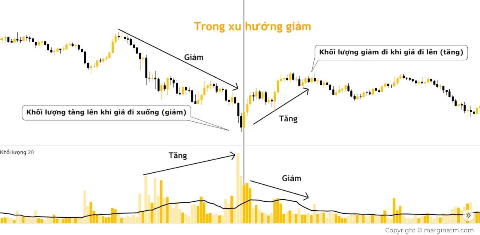 Vol là gì? Ảnh hưởng của volumes khi giá giảm