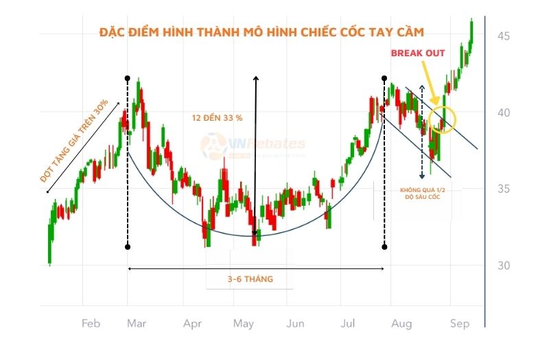 Đặc điểm mô hình cái cốc và tay cầm