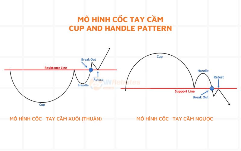 Mô hình cốc tay cầm xuôi và mô hình cốc tay cầm ngược 