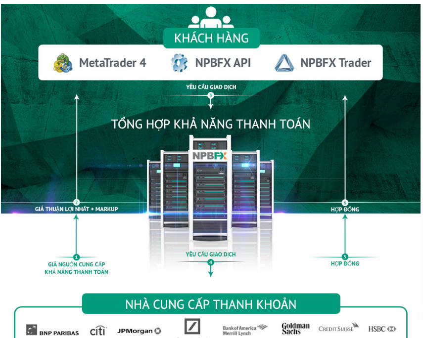 NPBFX sử dụng công nghệ STP/NDD hiện đại 