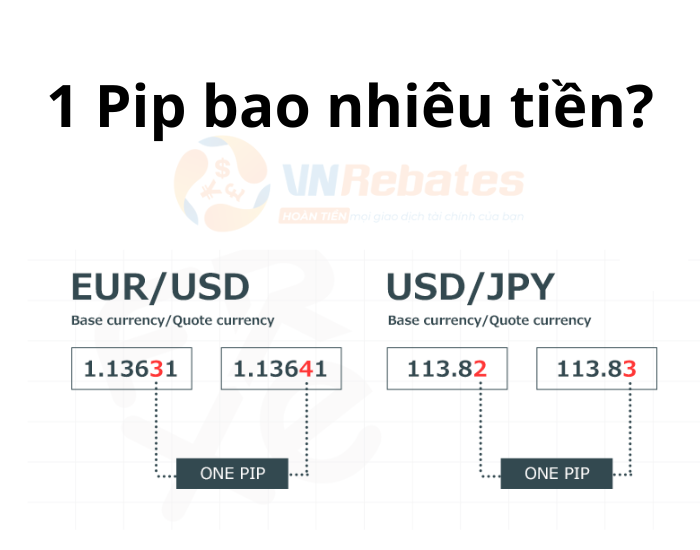 1 Pip là bao nhiêu tiền?