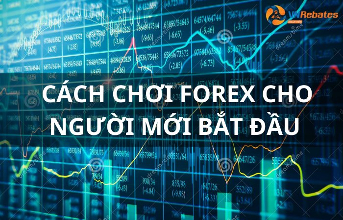 Cách chơi forex cho người mới bắt đầu