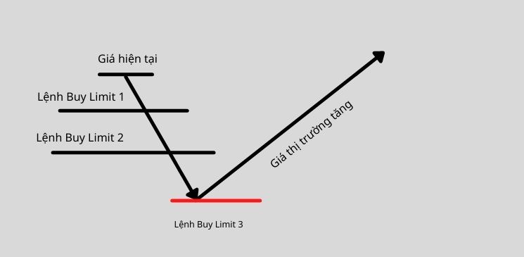 Chiến lược rải đinh được mô phỏng lại 