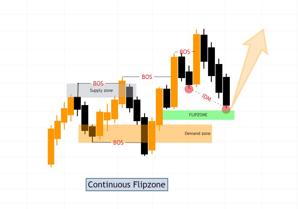 Continuous Flipzone loại 2