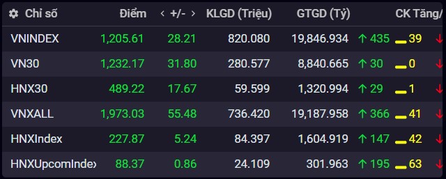 Hầu hết các chỉ số chính của thị trường như VN-Index, VN30, HNK-Index đều tăng kịch trần.