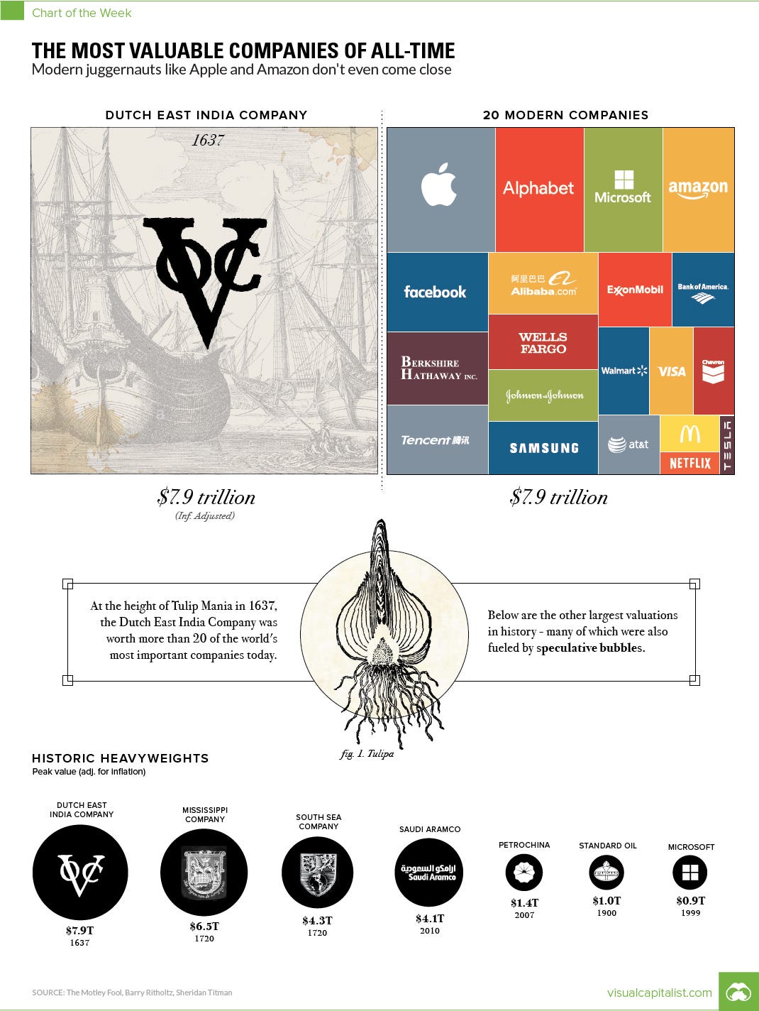 Phân tích Visual Capitalist năm 2017