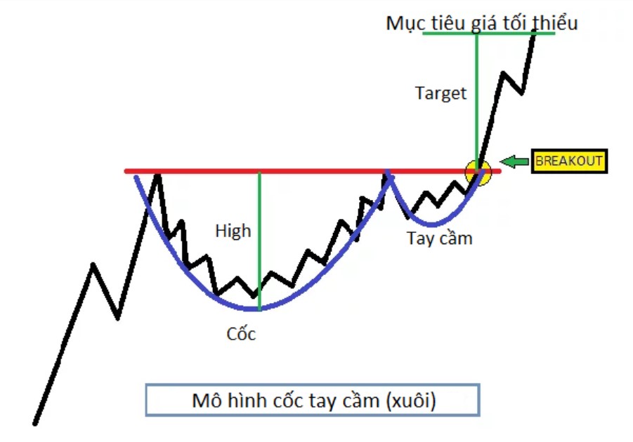 Mẫu hình cốc tay cầm xuôi